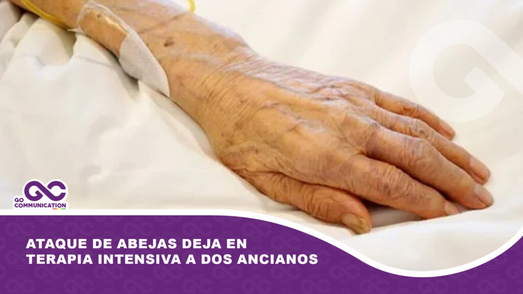 Ataque de abejas deja en terapia intensiva a dos ancianos