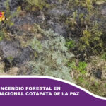 Registran incendio forestal en el Parque Nacional Cotapata de La Paz