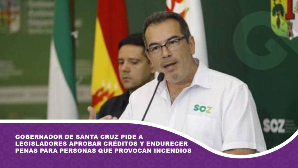 Gobernador de Santa Cruz pide a legisladores aprobar créditos y endurecer penas para personas que provocan incendios