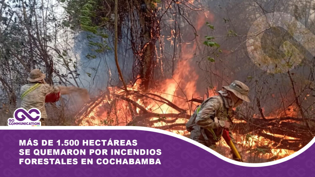 Más de 1.500 hectáreas se quemaron por incendios forestales en Cochabamba