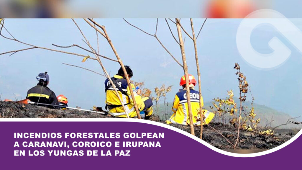 Incendios forestales golpean a Caranavi, Coroico e Irupana en los Yungas de La Paz