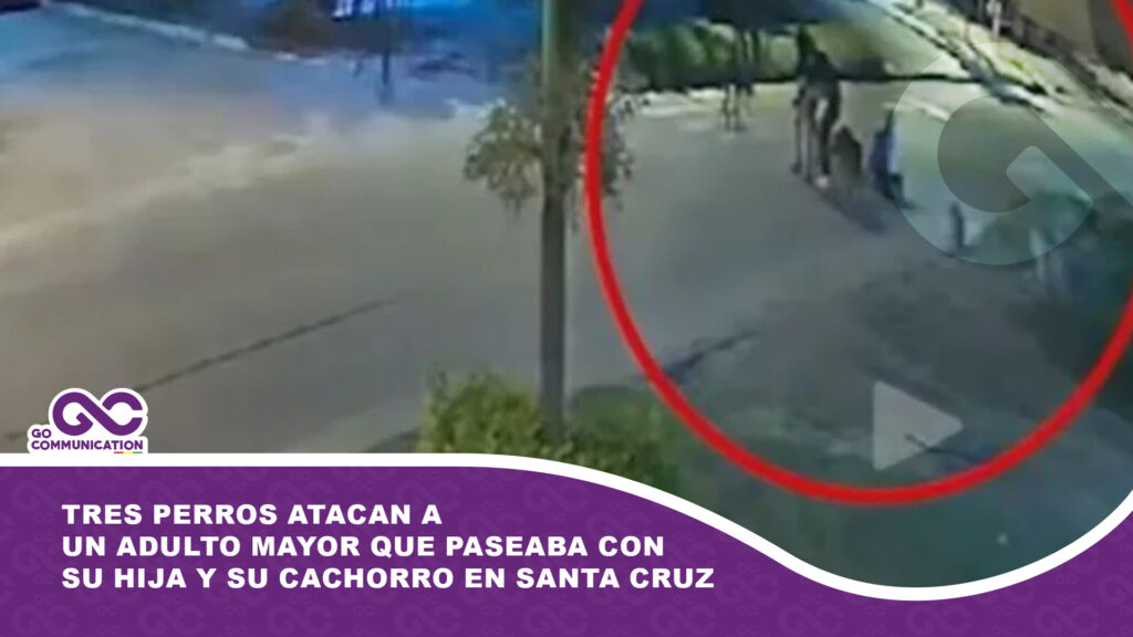 Tres perros atacan a un adulto mayor que paseaba con su hija y su cachorro en Santa Cruz