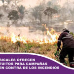 Grupos musicales ofrecen shows gratuitos para campañas benéficas en contra de los incendios