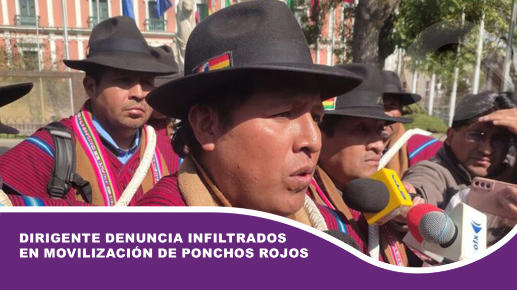 Dirigente denuncian infiltrados en movilización de Ponchos Rojos