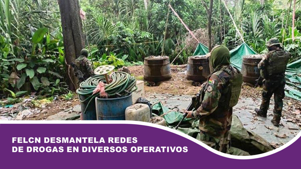 FELCN desmantela redes de drogas en diversos operativos