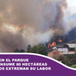 Incendio en el Parque Tunari consume 80 hectáreas y bomberos extreman su labor