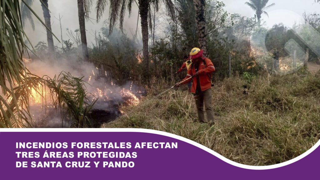 Incendios forestales afectan tres áreas protegidas de Santa Cruz y Pando