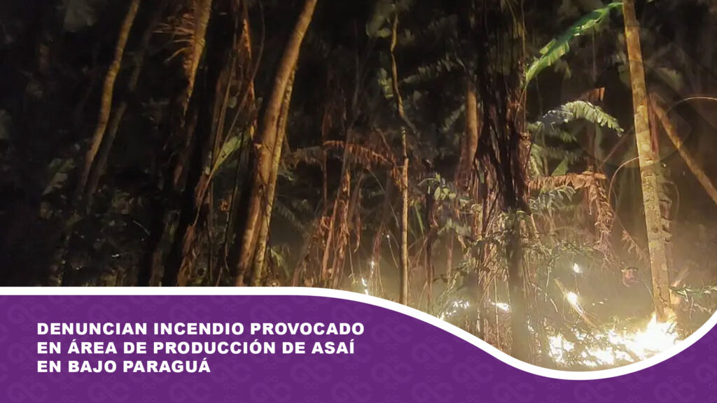 Denuncian incendio provocado en área de producción de asaí en Bajo Paraguá