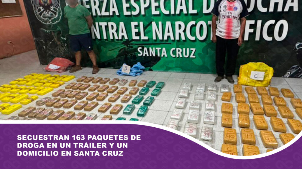 Secuestran 163 paquetes de droga en un tráiler y un domicilio en Santa Cruz