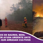 Comunarios de Baures, Beni, claman por ayuda urgente ante incendios que arrasan cultivos y fauna local