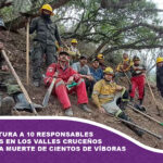 Policía captura a 10 responsables de incendios en los Valles cruceños y reporta la muerte de cientos de víboras