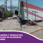 Animales mueren y productos se desperdician en bloqueos en Cochabamba