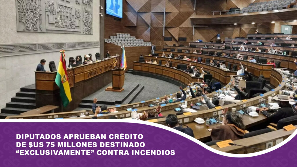 Diputados aprueban crédito de $us 75 millones destinado ‘exclusivamente’ contra incendios