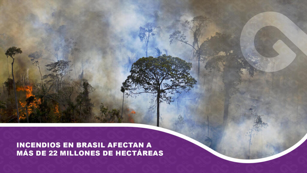 Incendios en Brasil afectan a más de 22 millones de hectáreas