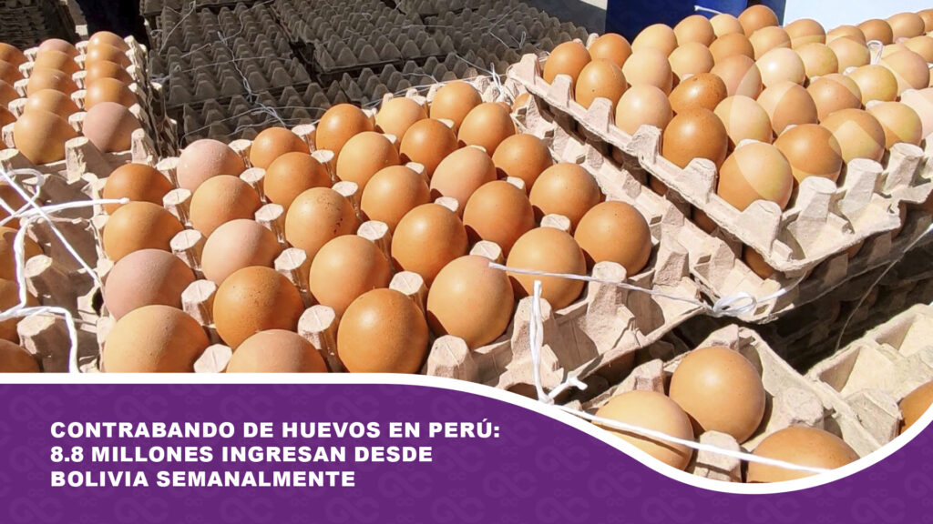 Contrabando de huevos en Perú: 8.8 millones ingresan semanalmente desde Bolivia