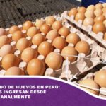 Contrabando de huevos en Perú: 8.8 millones ingresan semanalmente desde Bolivia