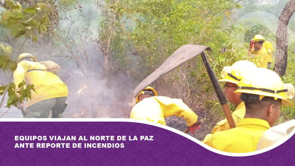 Equipos viajan al norte de La Paz ante reporte de incendios
