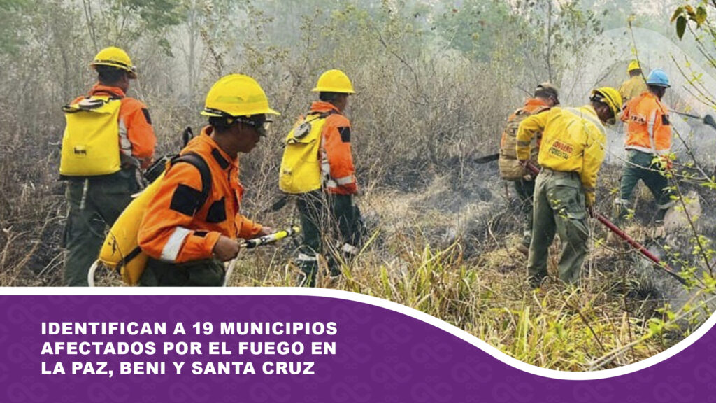 Identifican a 19 municipios afectados por el fuego en La Paz, Beni y Santa Cruz