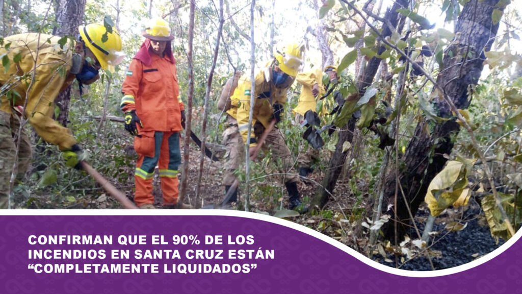 Confirman que el 90% de los incendios en Santa Cruz están “completamente liquidados”