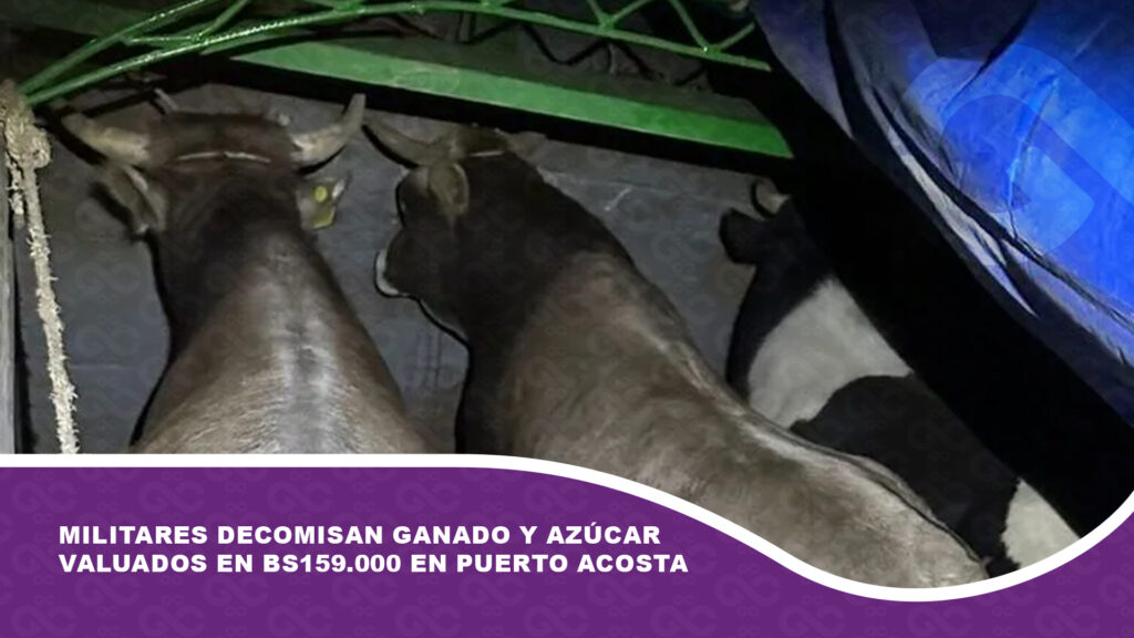 Militares decomisan ganado y azúcar valuados en Bs 159.000 en Puerto Acosta