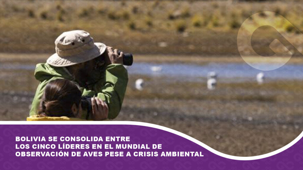 Bolivia se consolida entre los cinco líderes en el mundial de observación de aves pese a crisis ambiental