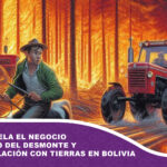 Oxfam revela el negocio millonario del desmonte y la especulación con tierras en Bolivia