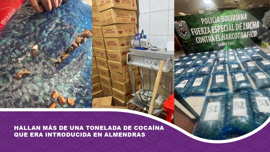 Hallan más de una tonelada de cocaína que era introducida en almendras