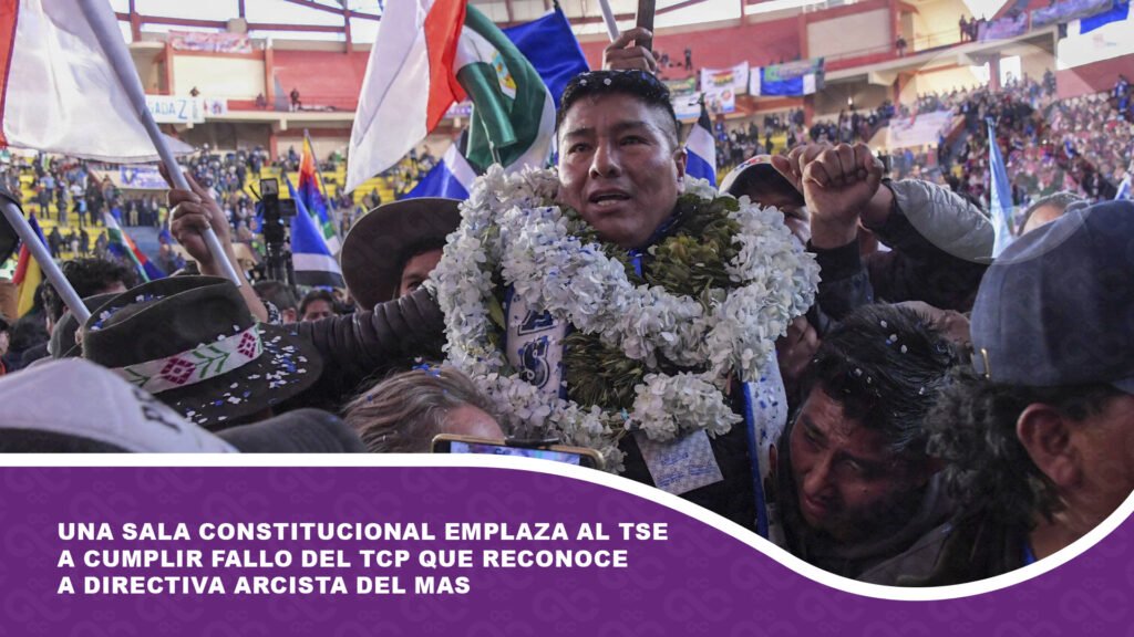Una Sala Constitucional emplaza al TSE a cumplir fallo del TCP que reconoce a directiva arcista del MAS