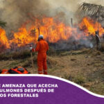 La invisible amenaza que acecha nuestros pulmones después de los incendios forestales