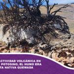 Descartan actividad volcánica en el sudoeste potosino, el humo era de una planta nativa quemada