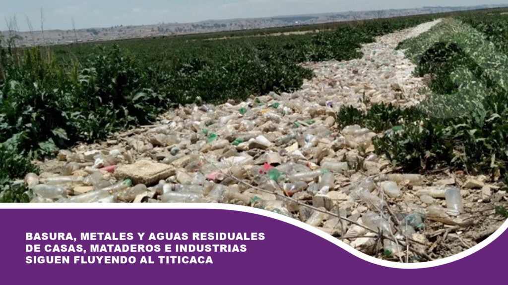 “Nadie quiere relleno en su municipio”: Basura, metales y aguas residuales de casas, mataderos e industrias siguen fluyendo al Titicaca