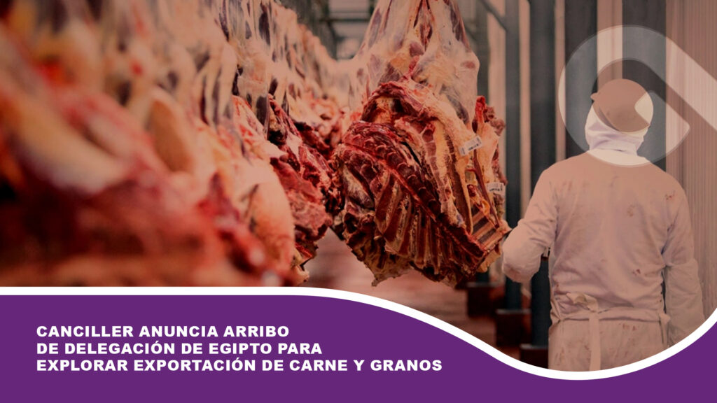 Canciller anuncia arribo de delegación de Egipto para explorar exportación de carne y granos