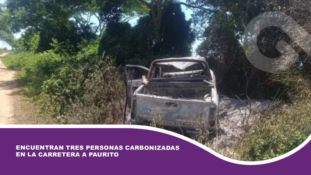 Encuentran tres personas carbonizadas en la carretera a Paurito