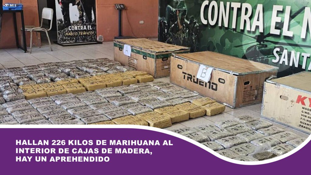Hallan 226 kilos de marihuana al interior de cajas de madera, hay un aprehendido