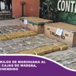 Hallan 226 kilos de marihuana al interior de cajas de madera, hay un aprehendido