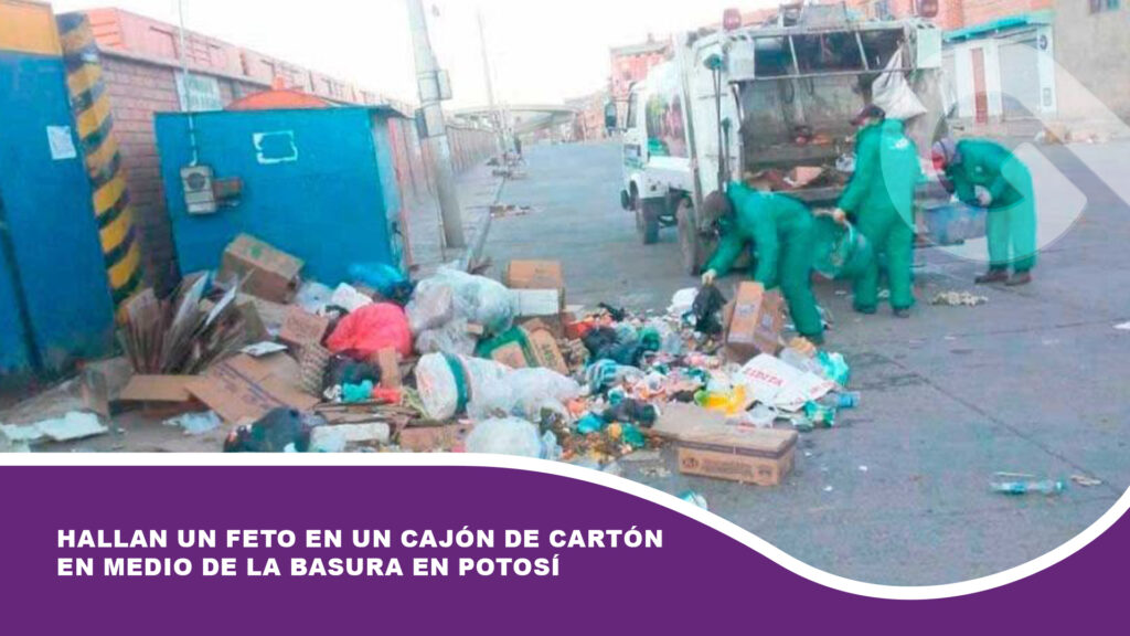 Hallan un feto en un cajón de cartón en medio de la basura en Potosí