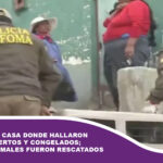 Intervienen casa donde hallaron 11 gatos muertos y congelados; otros 44 animales fueron rescatados