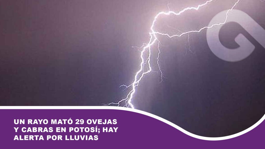 Un rayo mató 29 ovejas y cabras en Potosí; hay alerta por lluvias