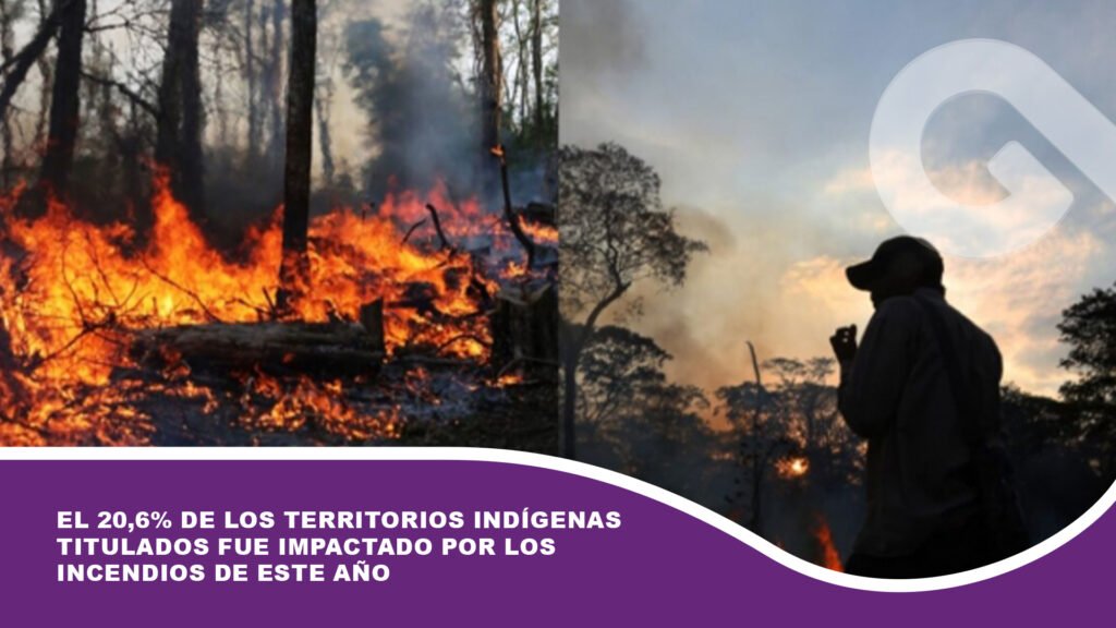 El 20,6% de los territorios indígenas titulados fue impactado por los incendios de este año