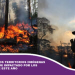 El 20,6% de los territorios indígenas titulados fue impactado por los incendios de este año