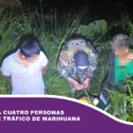 Capturan a cuatro personas en Beni por tráfico de marihuana