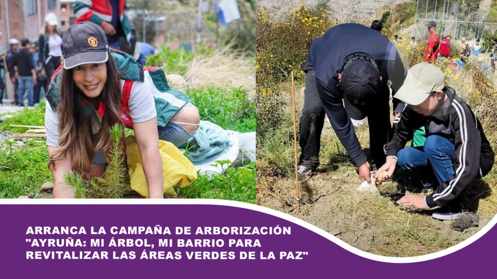 Arranca la campaña de Arborización «Ayruña: Mi árbol, mi barrio para revitalizar las áreas verdes de La Paz»