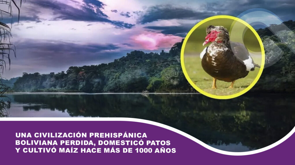 Una civilización prehispánica boliviana perdida, domesticó patos y cultivó maíz hace más de 1000 años