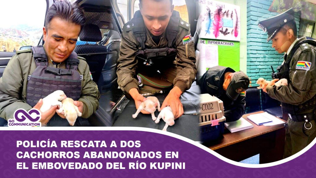 Policía rescata a dos cachorros abandonados en el embovedado del río Kupini