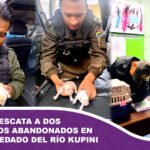 Policía rescata a dos cachorros abandonados en el embovedado del río Kupini