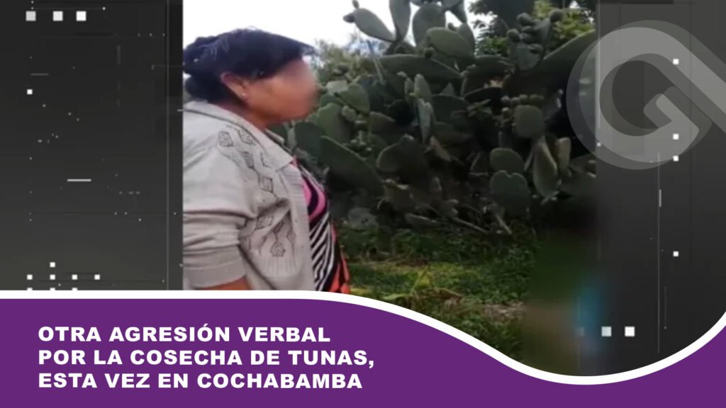 Otra agresión verbal por la cosecha de tunas, esta vez en Cochabamba