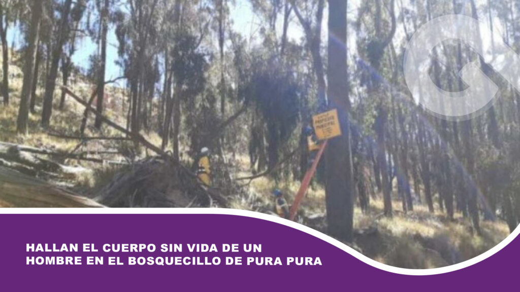 Hallan el cuerpo sin vida de un hombre en el bosquecillo de Pura Pura