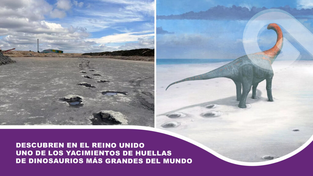 Descubren en el Reino Unido uno de los yacimientos de huellas de dinosaurios más grandes del mundo