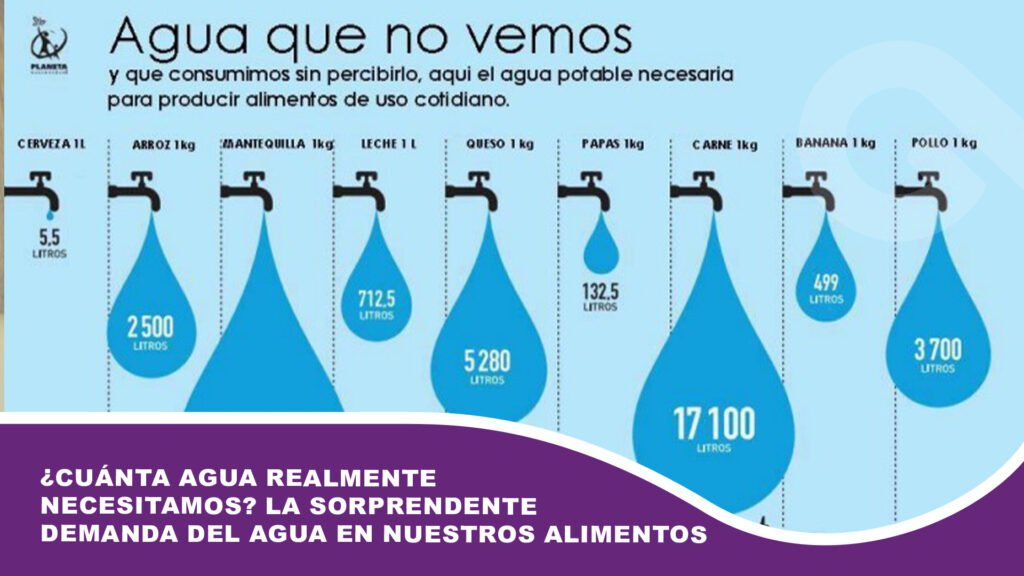 ¿Cuánta agua realmente necesitamos? la sorprendente demanda del agua en nuestros alimentos
