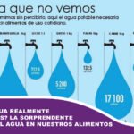¿Cuánta agua realmente necesitamos? la sorprendente demanda del agua en nuestros alimentos